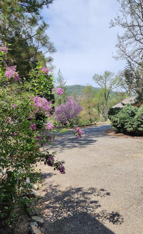 Yosemite Mountain Retreat Villa Oakhurst Eksteriør billede
