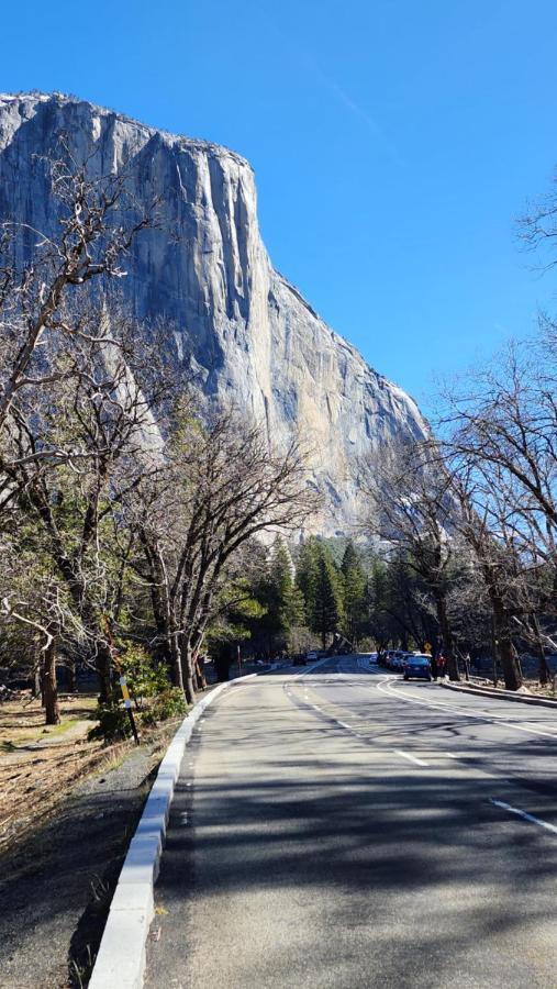 Yosemite Mountain Retreat Villa Oakhurst Eksteriør billede